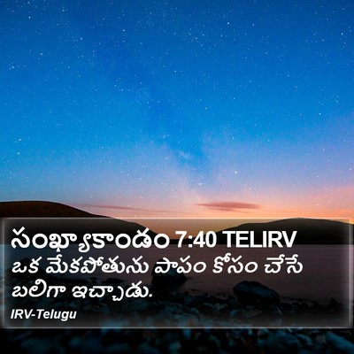 సంఖ్యాకాండం 7:40 TELIRV Bible Verse Image