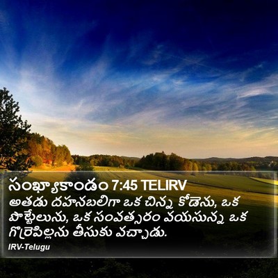 సంఖ్యాకాండం 7:45 TELIRV Bible Verse Image
