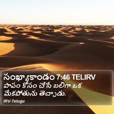 సంఖ్యాకాండం 7:46 TELIRV Bible Verse Image