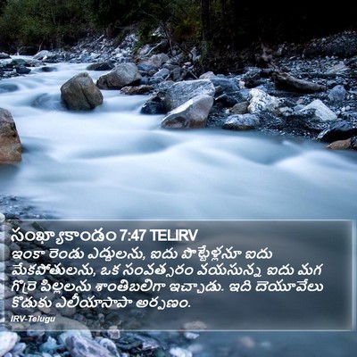 సంఖ్యాకాండం 7:47 TELIRV Bible Verse Image