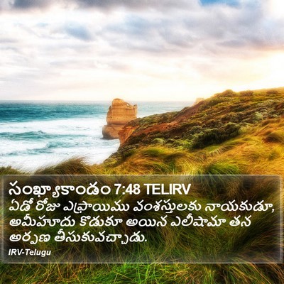 సంఖ్యాకాండం 7:48 TELIRV Bible Verse Image