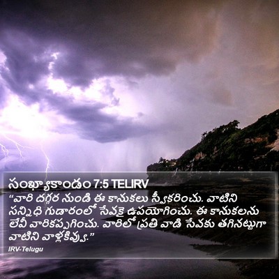 సంఖ్యాకాండం 7:5 TELIRV Bible Verse Image