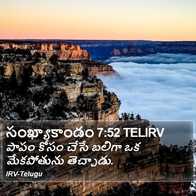 సంఖ్యాకాండం 7:52 TELIRV Bible Verse Image