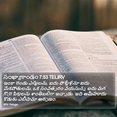 సంఖ్యాకాండం 7:53 TELIRV Bible Verse Image