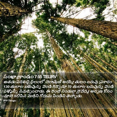 సంఖ్యాకాండం 7:55 TELIRV Bible Verse Image