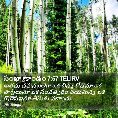 సంఖ్యాకాండం 7:57 TELIRV Bible Verse Image