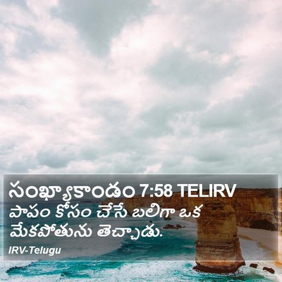 సంఖ్యాకాండం 7:58 TELIRV Bible Verse Image