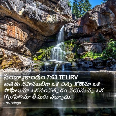సంఖ్యాకాండం 7:63 TELIRV Bible Verse Image