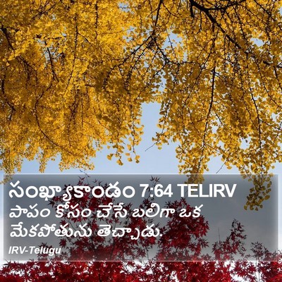 సంఖ్యాకాండం 7:64 TELIRV Bible Verse Image