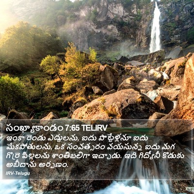 సంఖ్యాకాండం 7:65 TELIRV Bible Verse Image