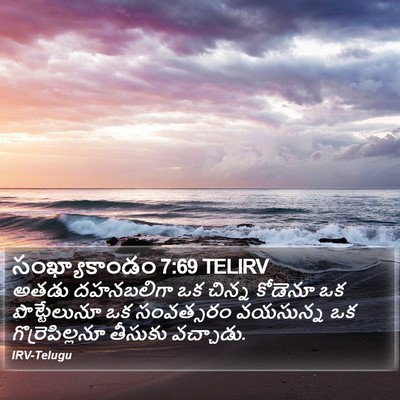 సంఖ్యాకాండం 7:69 TELIRV Bible Verse Image