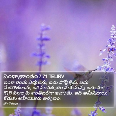 సంఖ్యాకాండం 7:71 TELIRV Bible Verse Image