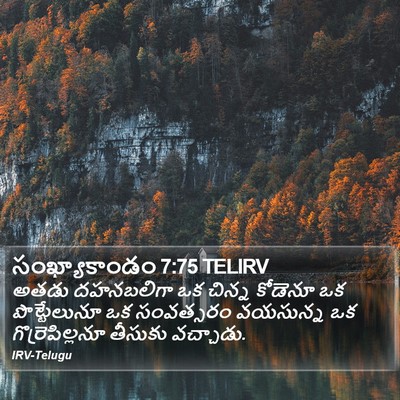 సంఖ్యాకాండం 7:75 TELIRV Bible Verse Image