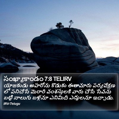 సంఖ్యాకాండం 7:8 TELIRV Bible Verse Image