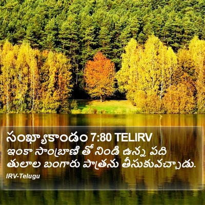 సంఖ్యాకాండం 7:80 TELIRV Bible Verse Image