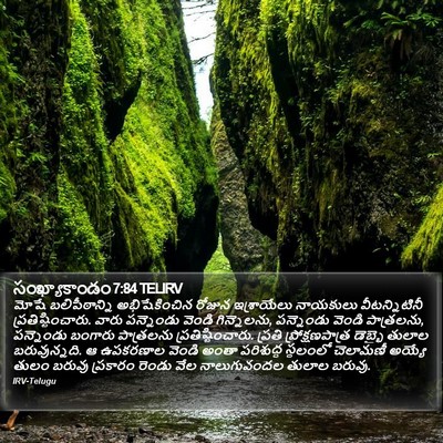 సంఖ్యాకాండం 7:84 TELIRV Bible Verse Image