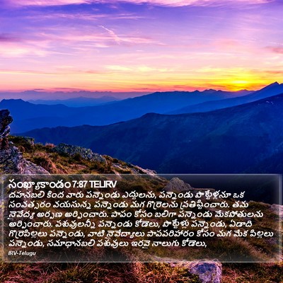 సంఖ్యాకాండం 7:87 TELIRV Bible Verse Image