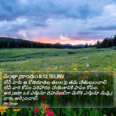 సంఖ్యాకాండం 8:12 TELIRV Bible Verse Image