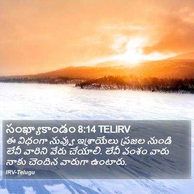సంఖ్యాకాండం 8:14 TELIRV Bible Verse Image