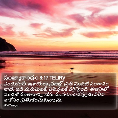 సంఖ్యాకాండం 8:17 TELIRV Bible Verse Image