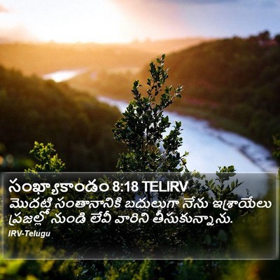 సంఖ్యాకాండం 8:18 TELIRV Bible Verse Image