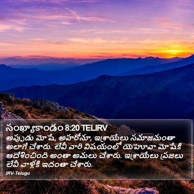 సంఖ్యాకాండం 8:20 TELIRV Bible Verse Image