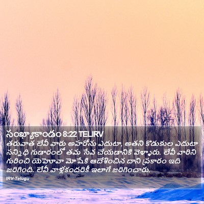 సంఖ్యాకాండం 8:22 TELIRV Bible Verse Image