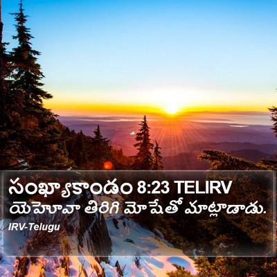 సంఖ్యాకాండం 8:23 TELIRV Bible Verse Image
