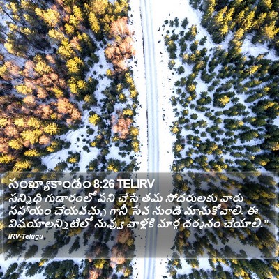 సంఖ్యాకాండం 8:26 TELIRV Bible Verse Image