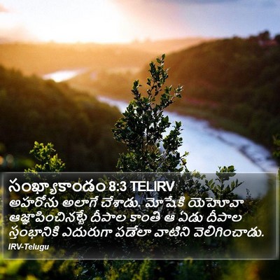 సంఖ్యాకాండం 8:3 TELIRV Bible Verse Image