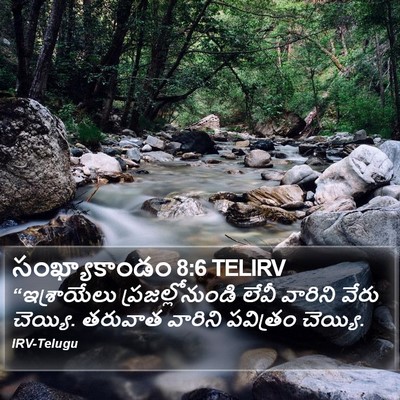 సంఖ్యాకాండం 8:6 TELIRV Bible Verse Image