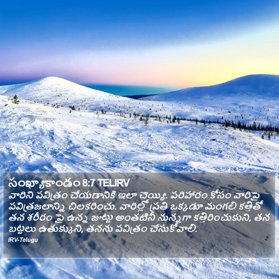 సంఖ్యాకాండం 8:7 TELIRV Bible Verse Image