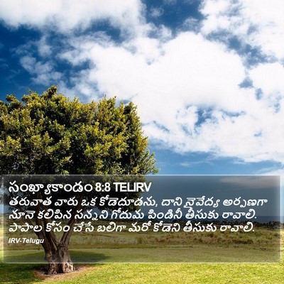 సంఖ్యాకాండం 8:8 TELIRV Bible Verse Image