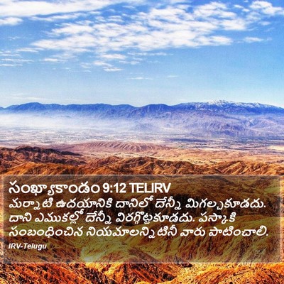 సంఖ్యాకాండం 9:12 TELIRV Bible Verse Image
