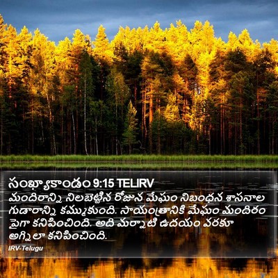 సంఖ్యాకాండం 9:15 TELIRV Bible Verse Image