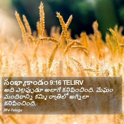 సంఖ్యాకాండం 9:16 TELIRV Bible Verse Image
