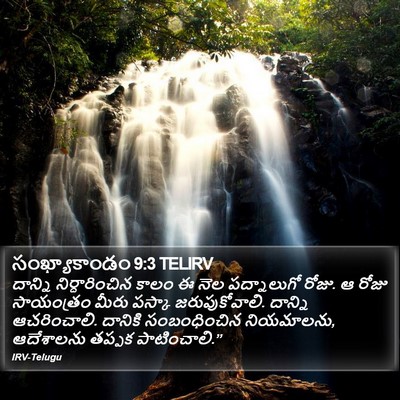 సంఖ్యాకాండం 9:3 TELIRV Bible Verse Image