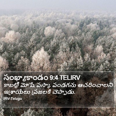 సంఖ్యాకాండం 9:4 TELIRV Bible Verse Image