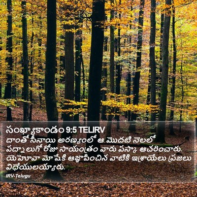 సంఖ్యాకాండం 9:5 TELIRV Bible Verse Image