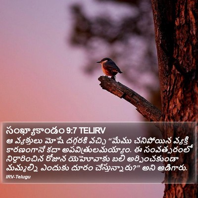 సంఖ్యాకాండం 9:7 TELIRV Bible Verse Image