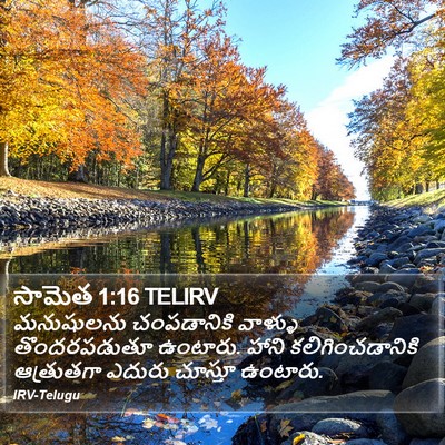 సామెత 1:16 TELIRV Bible Verse Image