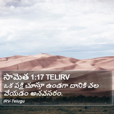 సామెత 1:17 TELIRV Bible Verse Image