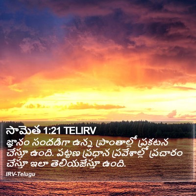 సామెత 1:21 TELIRV Bible Verse Image