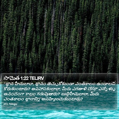 సామెత 1:22 TELIRV Bible Verse Image