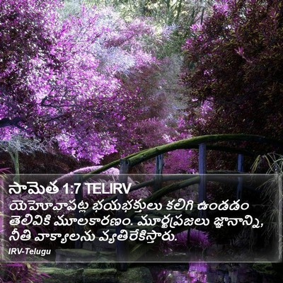 సామెత 1:7 TELIRV Bible Verse Image
