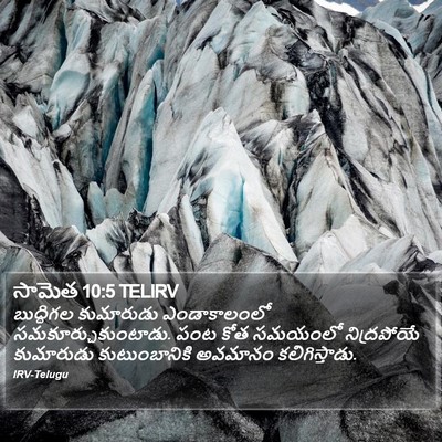 సామెత 10:5 TELIRV Bible Verse Image