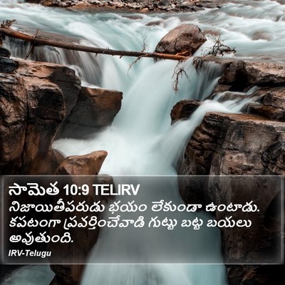 సామెత 10:9 TELIRV Bible Verse Image