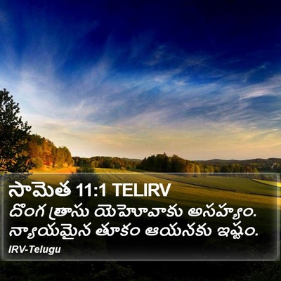 సామెత 11:1 TELIRV Bible Verse Image