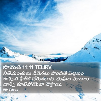 సామెత 11:11 TELIRV Bible Verse Image