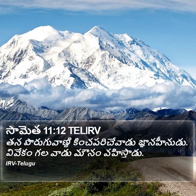 సామెత 11:12 TELIRV Bible Verse Image